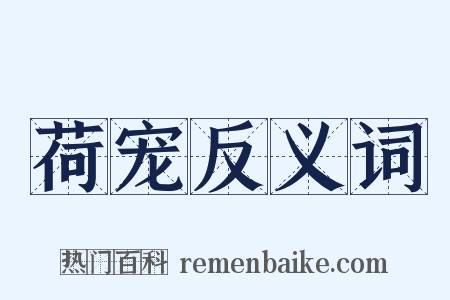 荷宠反义词是什么意思的图片